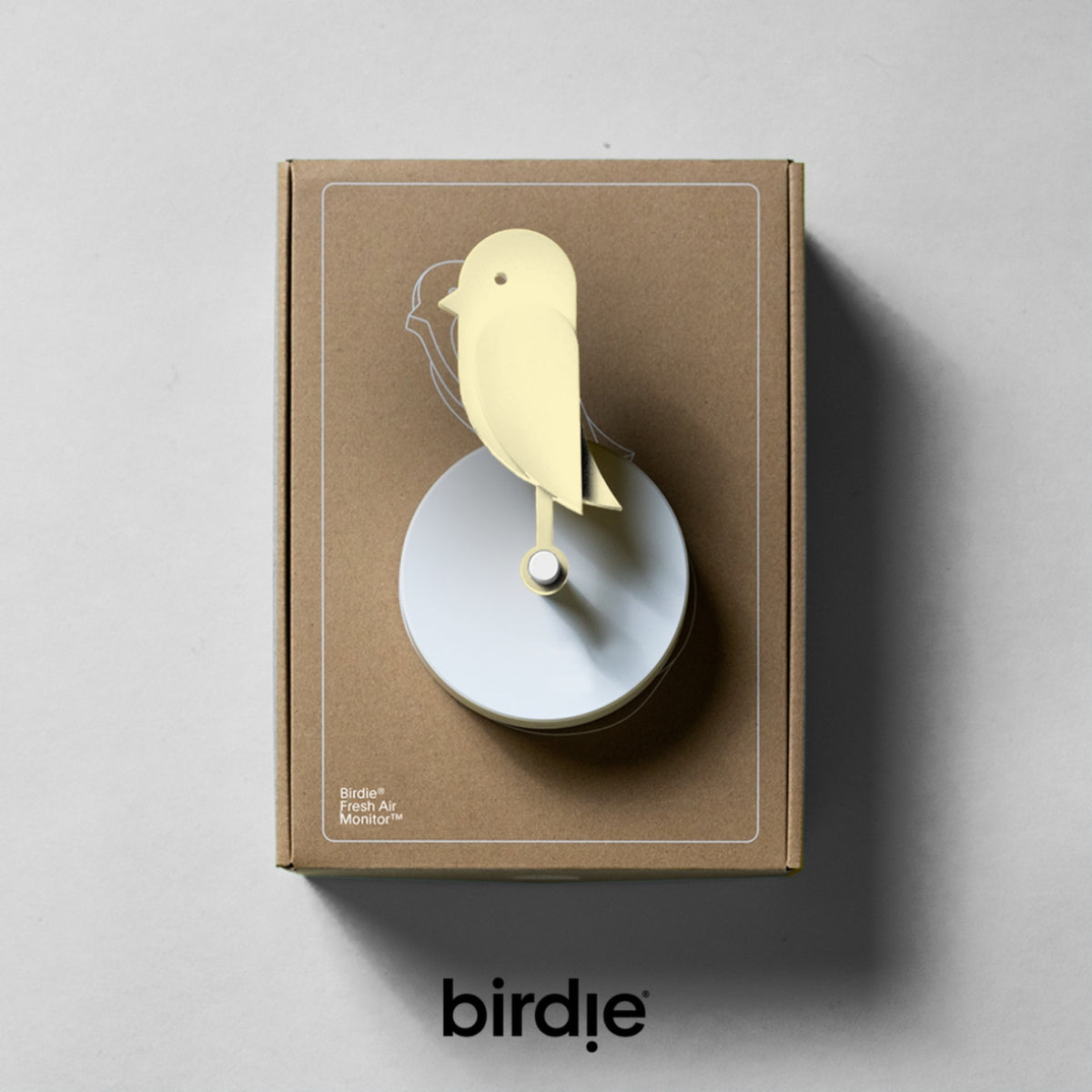 BIRDIE - Indicatore visivo per la qualità dell’aria indoor