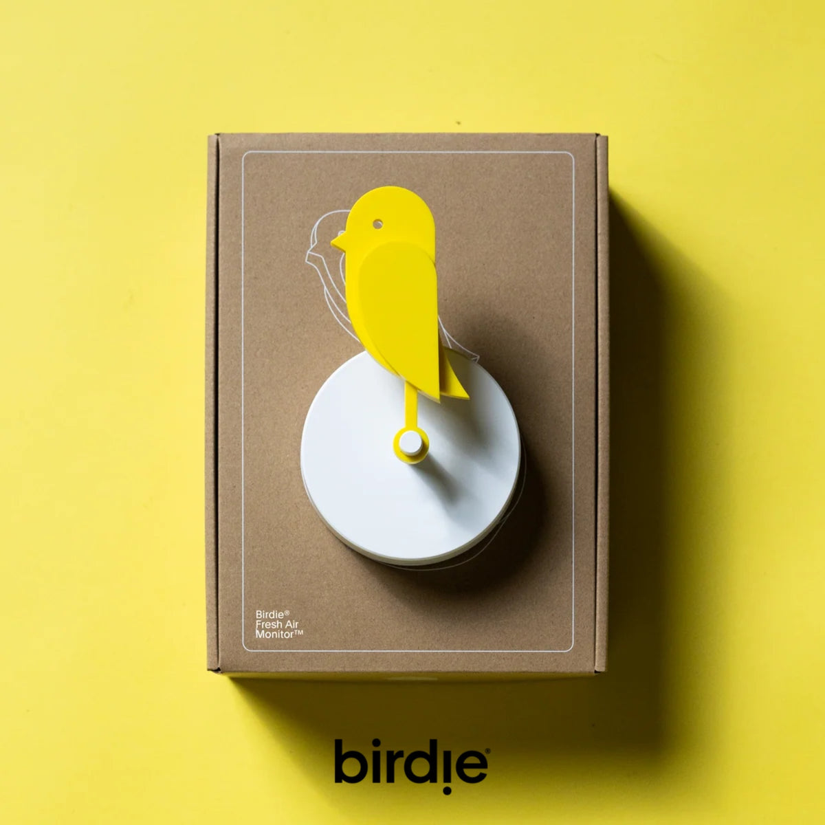 BIRDIE - Indicatore visivo per la qualità dell’aria indoor