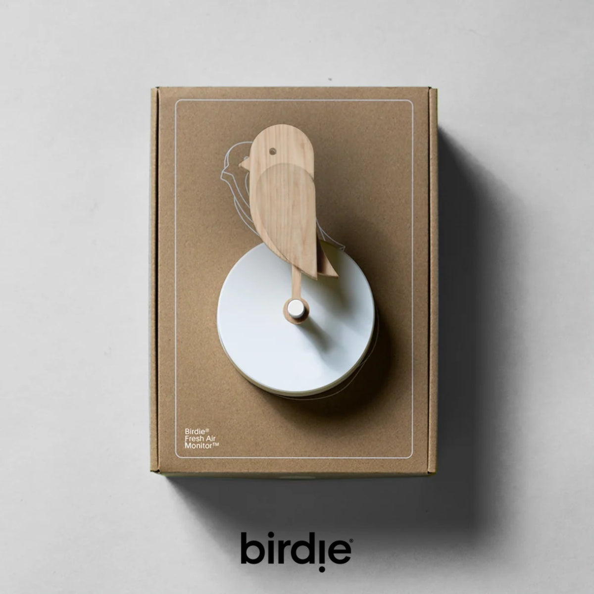 BIRDIE - Indicatore visivo per la qualità dell’aria indoor