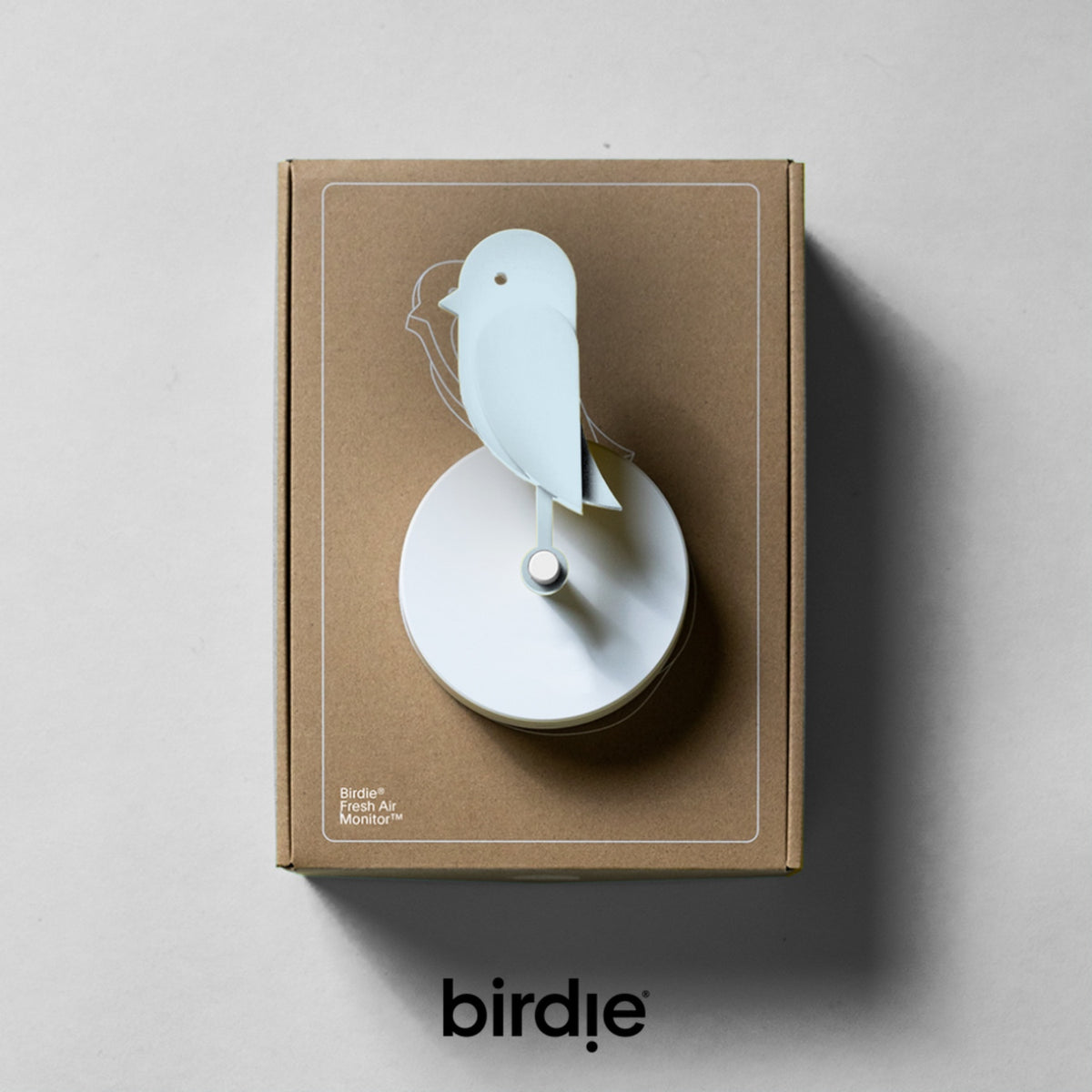 BIRDIE - Indicatore visivo per la qualità dell’aria indoor