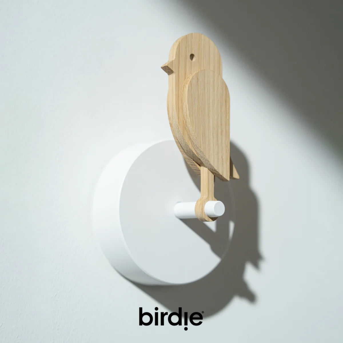 BIRDIE - Indicatore visivo per la qualità dell’aria indoor