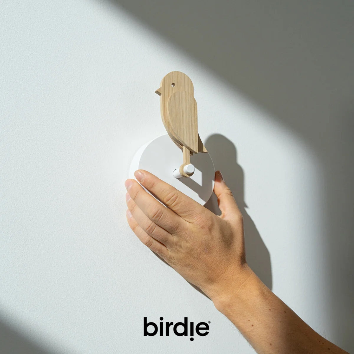 BIRDIE - Indicatore visivo per la qualità dell’aria indoor
